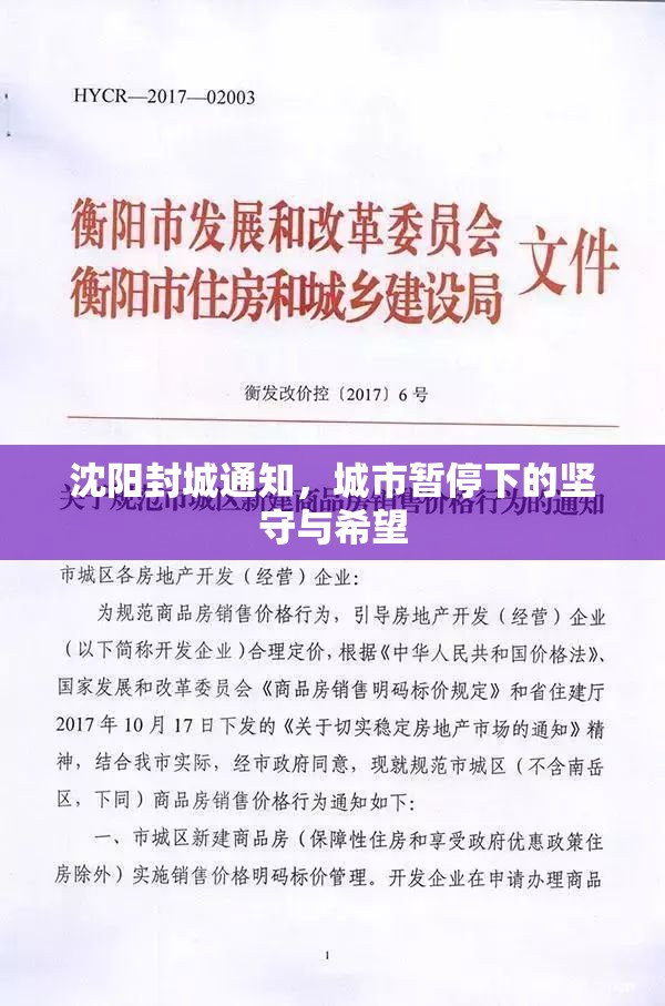 沈阳封城通知，城市暂停下的坚守与希望