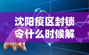 沈阳疫区封锁令什么时候解除:沈阳疫区封锁令什么时候解除的