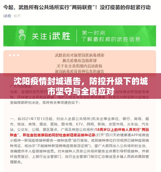 沈阳疫情封城通告，防控升级下的城市坚守与全民应对