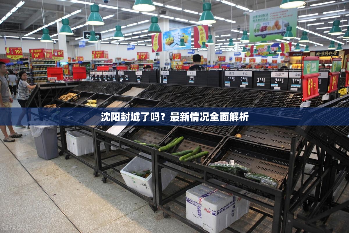沈阳封城了吗？最新情况全面解析
