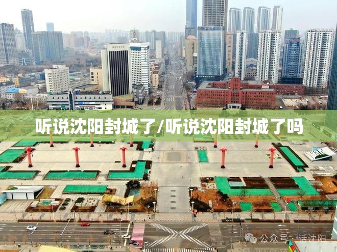 听说沈阳封城了/听说沈阳封城了吗