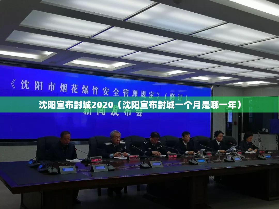 沈阳宣布封城2020（沈阳宣布封城一个月是哪一年）