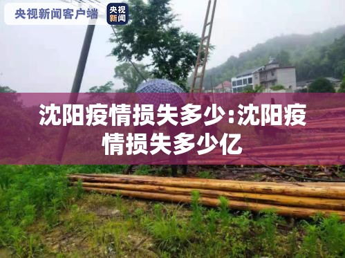 沈阳疫情损失多少:沈阳疫情损失多少亿