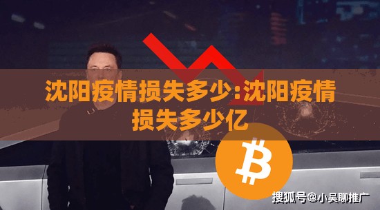 沈阳疫情损失多少:沈阳疫情损失多少亿