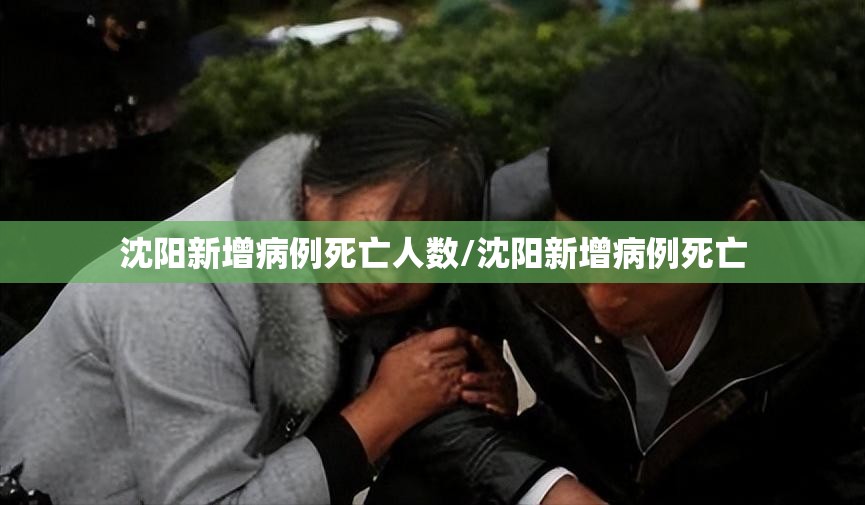 沈阳新增病例死亡人数/沈阳新增病例死亡