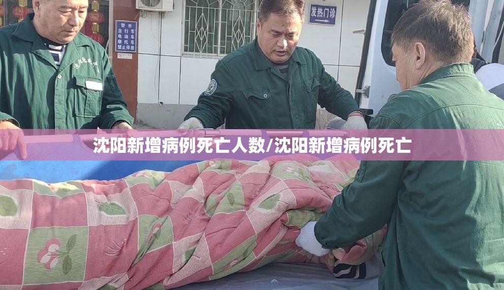 沈阳新增病例死亡人数/沈阳新增病例死亡
