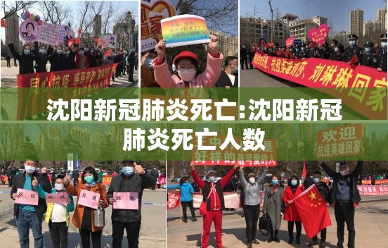 沈阳新冠肺炎死亡:沈阳新冠肺炎死亡人数