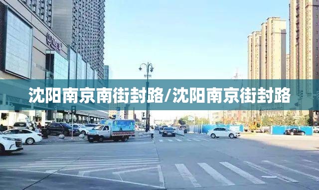 沈阳南京南街封路/沈阳南京街封路