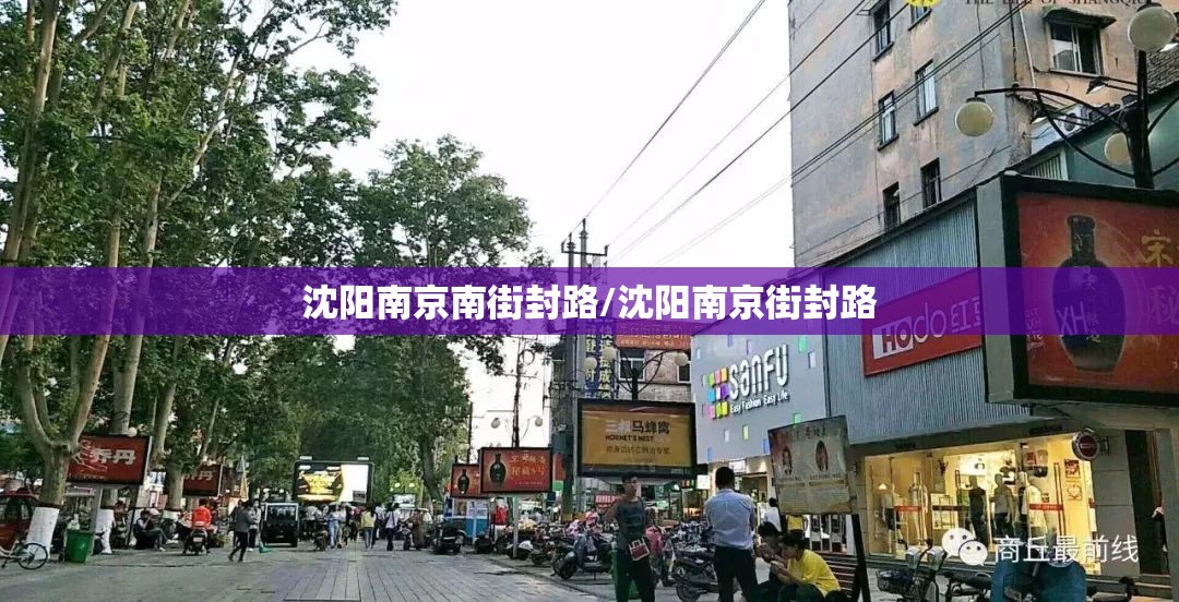 沈阳南京南街封路/沈阳南京街封路