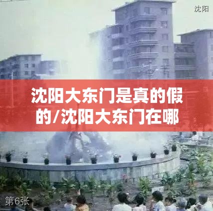 沈阳大东门是真的假的/沈阳大东门在哪