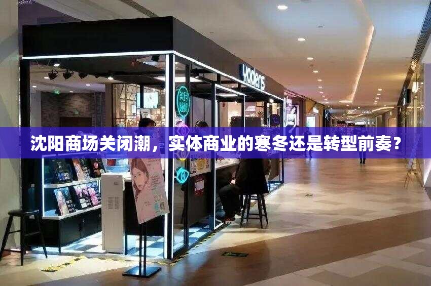 沈阳商场关闭潮，实体商业的寒冬还是转型前奏？