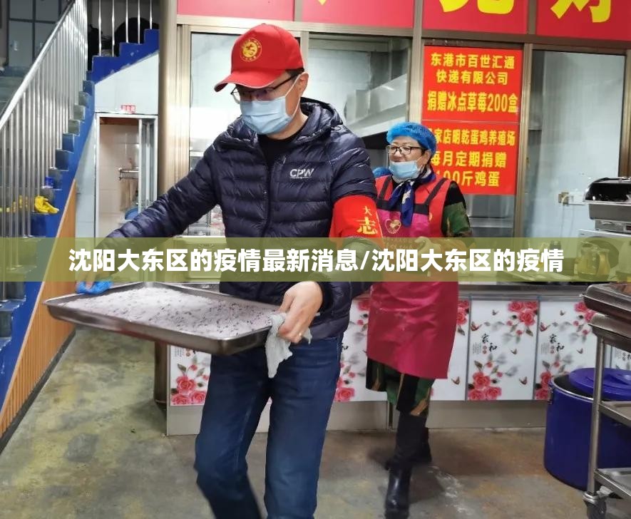 沈阳大东区的疫情最新消息/沈阳大东区的疫情