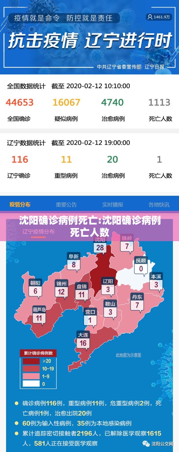 沈阳确诊病例死亡:沈阳确诊病例死亡人数