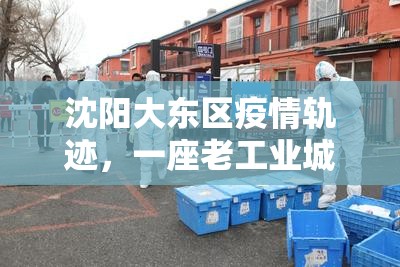 沈阳大东区疫情轨迹，一座老工业城区的战疫纪实