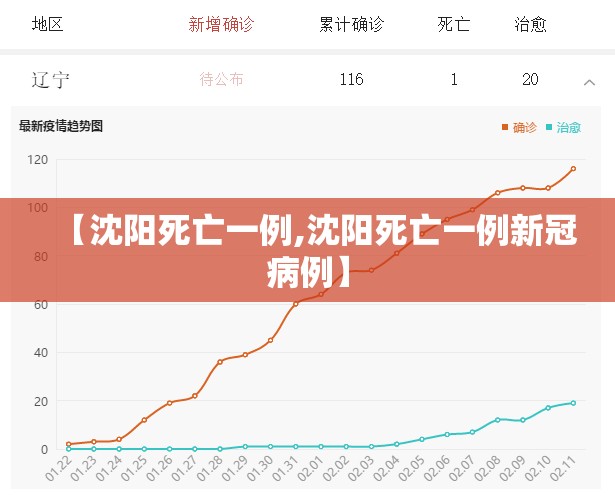 【沈阳死亡一例,沈阳死亡一例新冠病例】