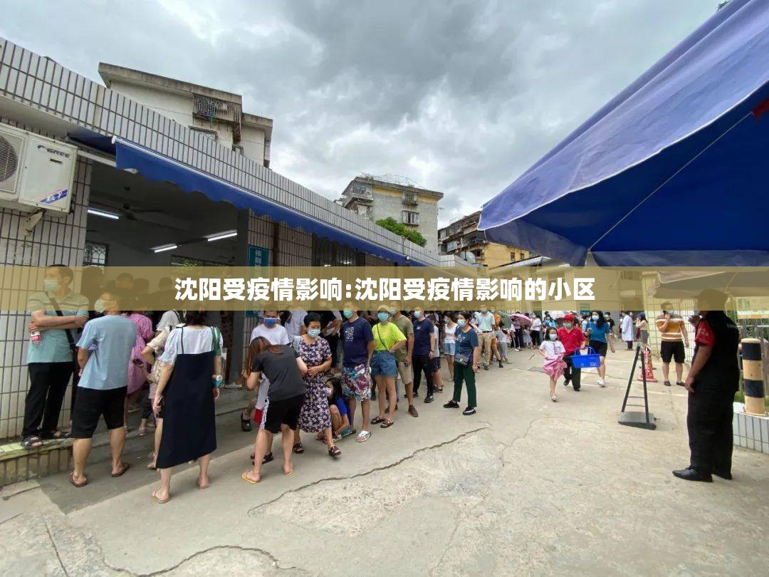 沈阳受疫情影响:沈阳受疫情影响的小区