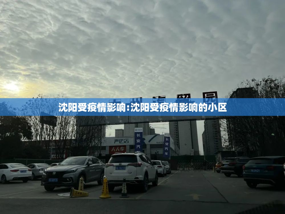 沈阳受疫情影响:沈阳受疫情影响的小区