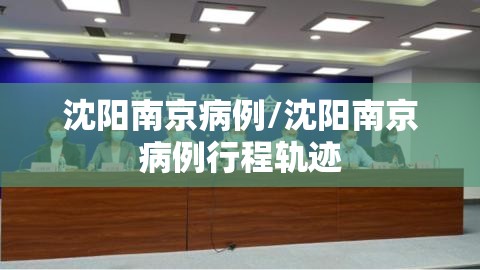 沈阳南京病例/沈阳南京病例行程轨迹
