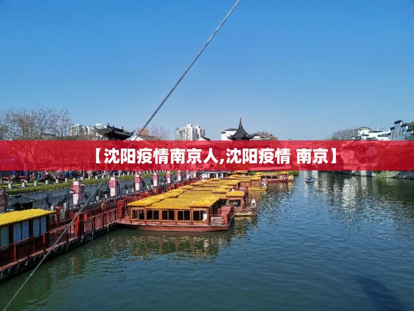 【沈阳疫情南京人,沈阳疫情 南京】