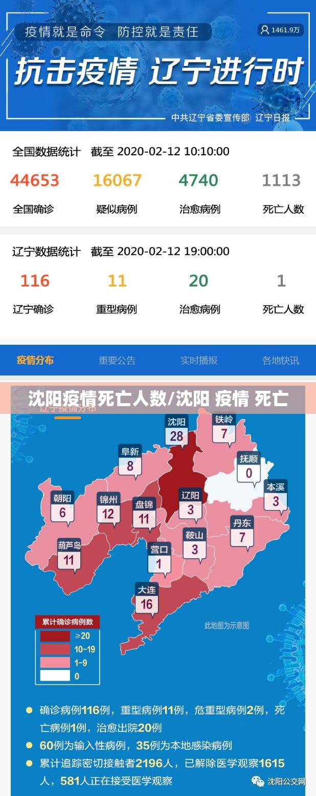 沈阳疫情死亡人数/沈阳 疫情 死亡