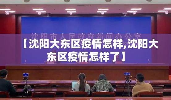 【沈阳大东区疫情怎样,沈阳大东区疫情怎样了】