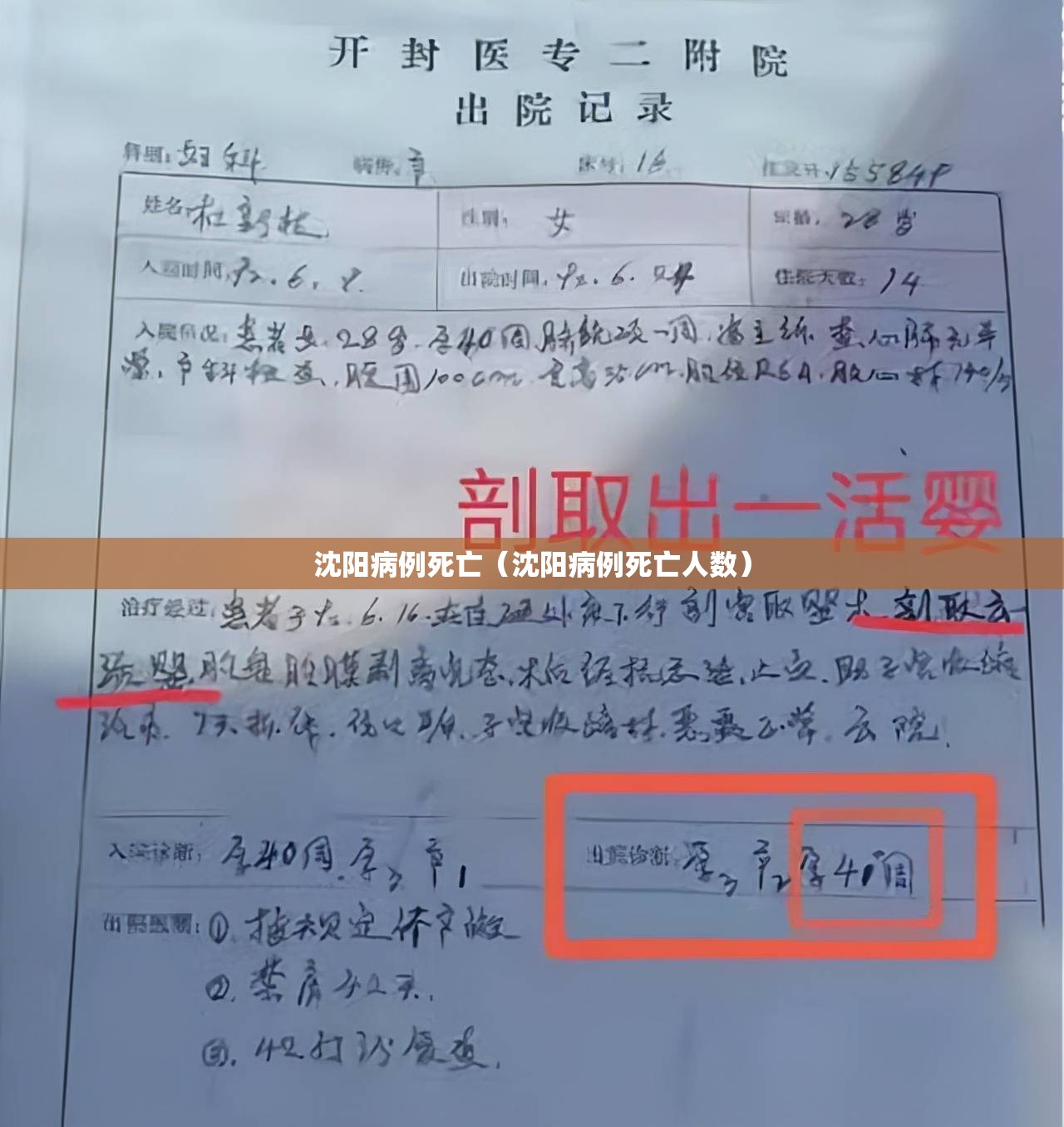 沈阳病例死亡（沈阳病例死亡人数）