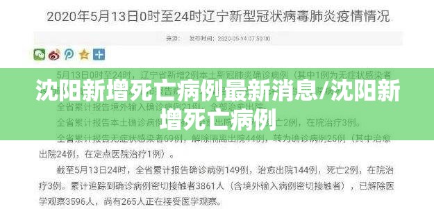沈阳新增死亡病例最新消息/沈阳新增死亡病例