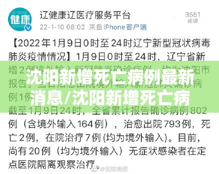 沈阳新增死亡病例最新消息/沈阳新增死亡病例