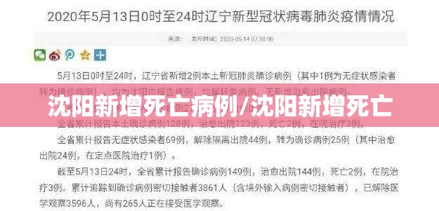 沈阳新增死亡病例/沈阳新增死亡