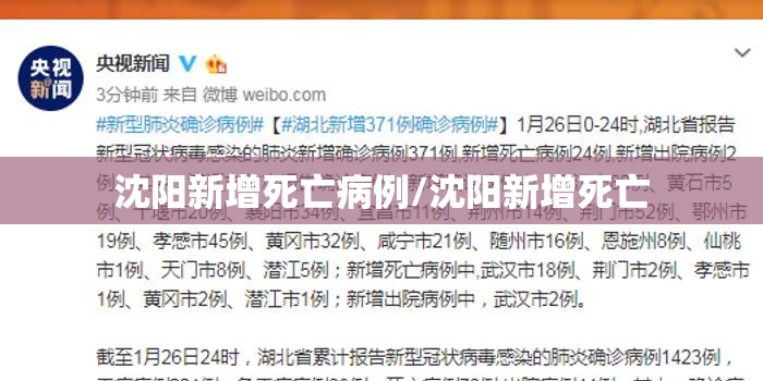 沈阳新增死亡病例/沈阳新增死亡