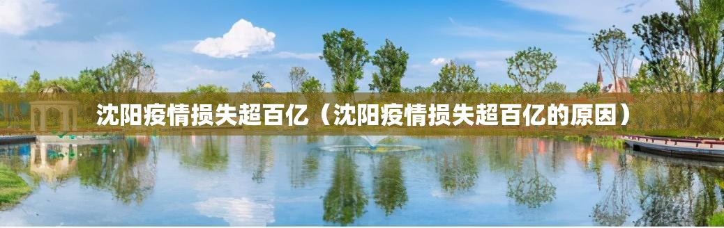 沈阳疫情损失超百亿（沈阳疫情损失超百亿的原因）