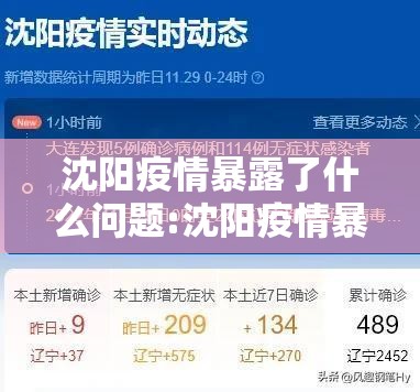 沈阳疫情暴露了什么问题:沈阳疫情暴露出了什么问题