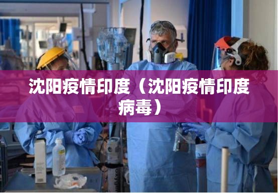 沈阳疫情印度（沈阳疫情印度病毒）