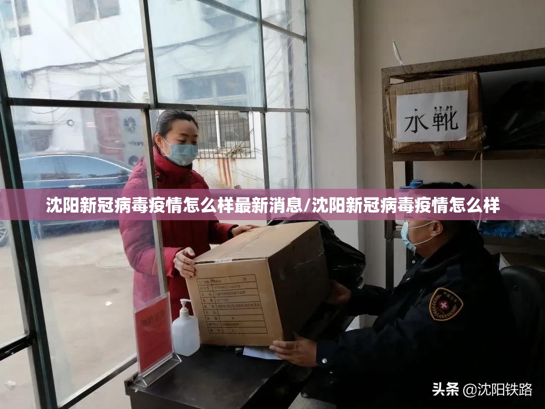 沈阳新冠病毒疫情怎么样最新消息/沈阳新冠病毒疫情怎么样
