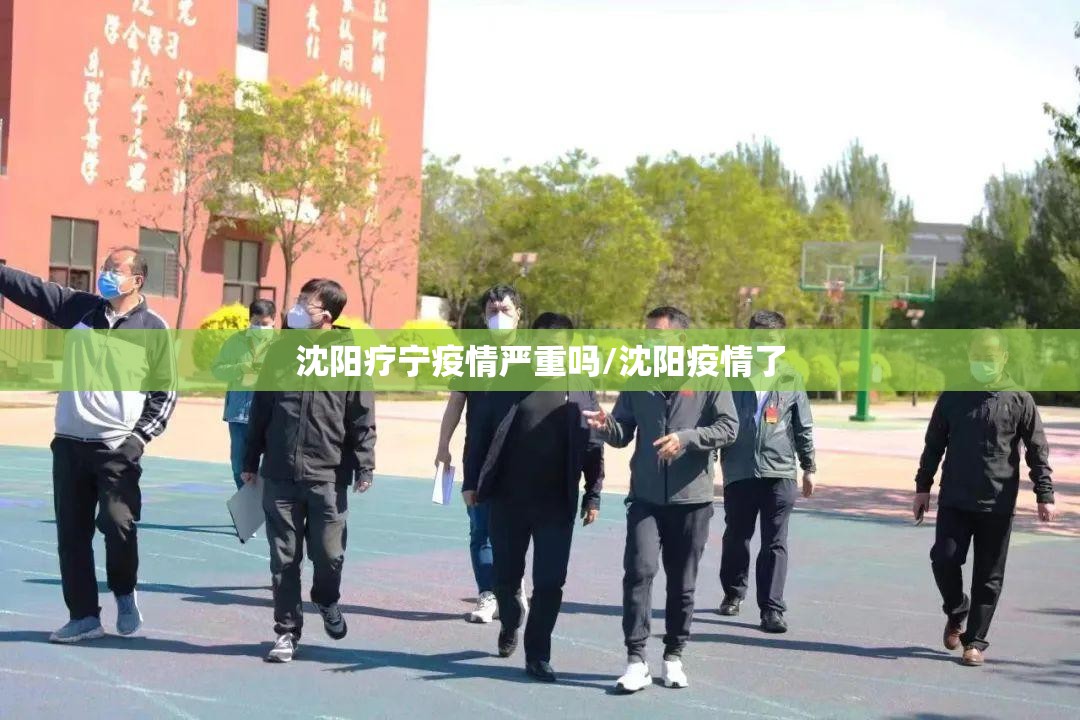 沈阳疗宁疫情严重吗/沈阳疫情了