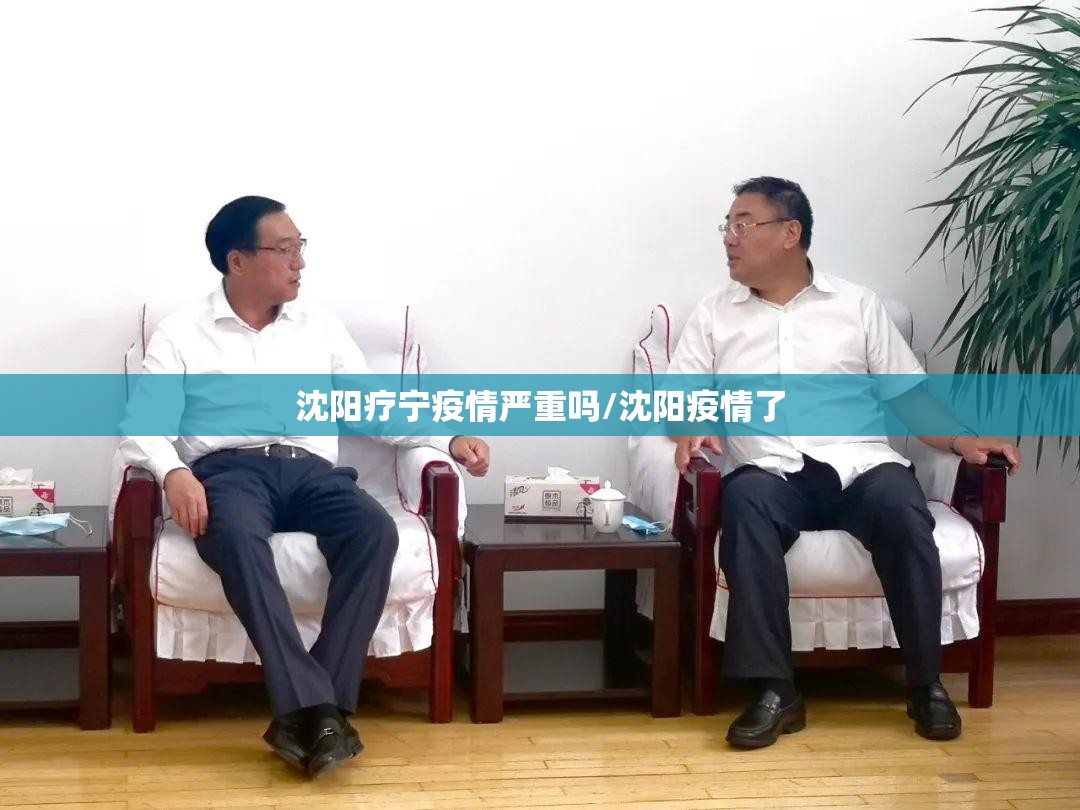 沈阳疗宁疫情严重吗/沈阳疫情了