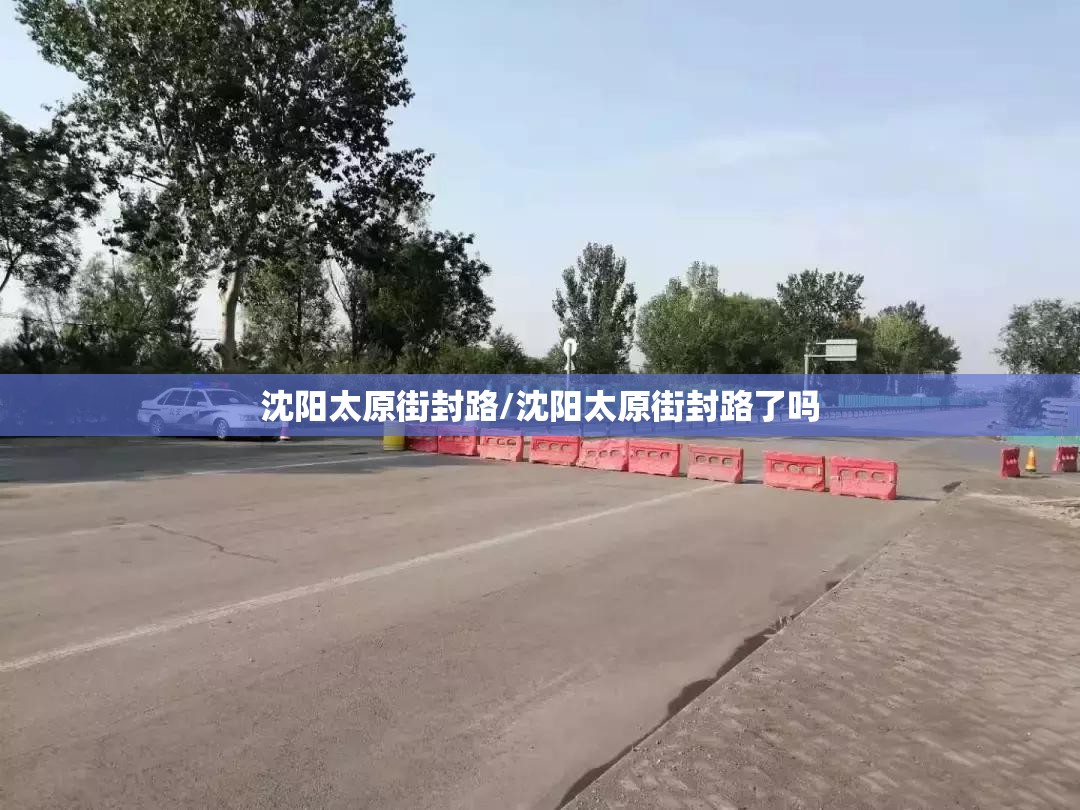 沈阳太原街封路/沈阳太原街封路了吗