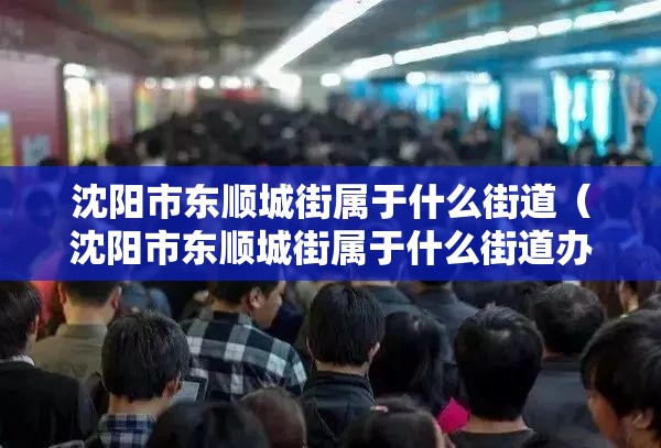 沈阳市东顺城街属于什么街道（沈阳市东顺城街属于什么街道办事处）