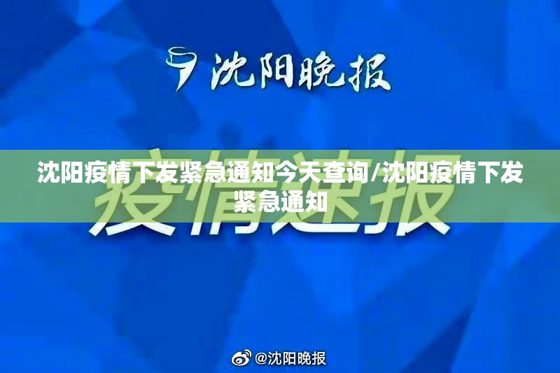 沈阳疫情下发紧急通知今天查询/沈阳疫情下发紧急通知