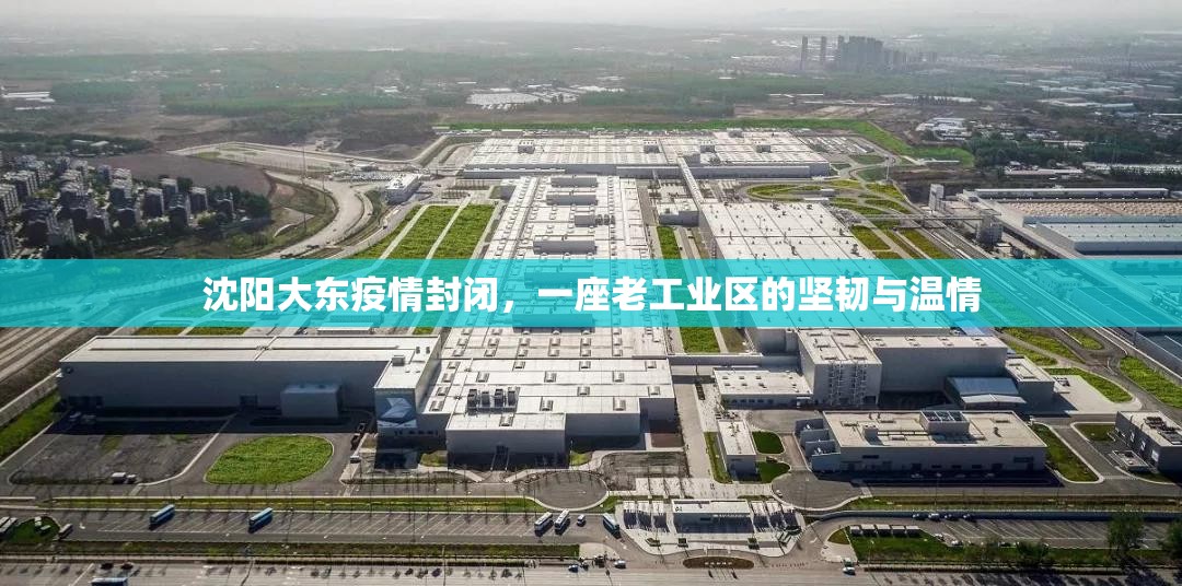 沈阳大东疫情封闭，一座老工业区的坚韧与温情