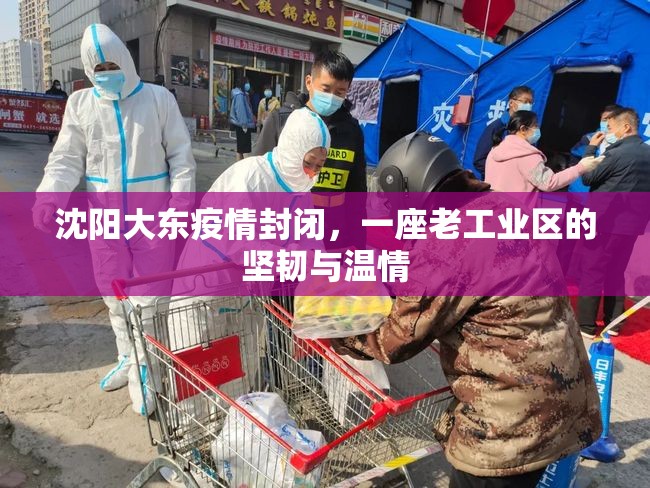 沈阳大东疫情封闭，一座老工业区的坚韧与温情