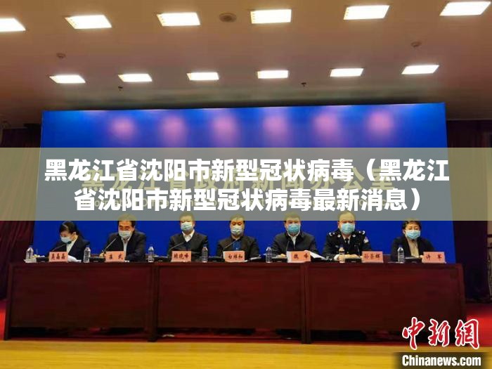 黑龙江省沈阳市新型冠状病毒（黑龙江省沈阳市新型冠状病毒最新消息）