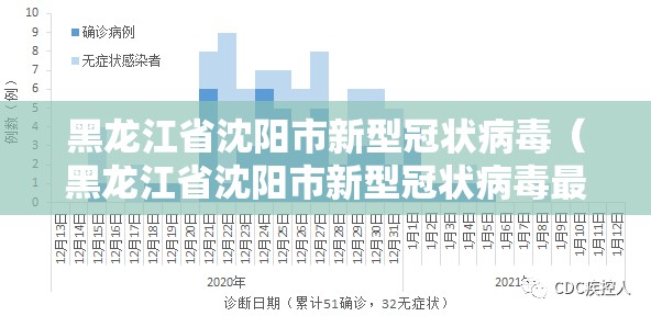 黑龙江省沈阳市新型冠状病毒（黑龙江省沈阳市新型冠状病毒最新消息）