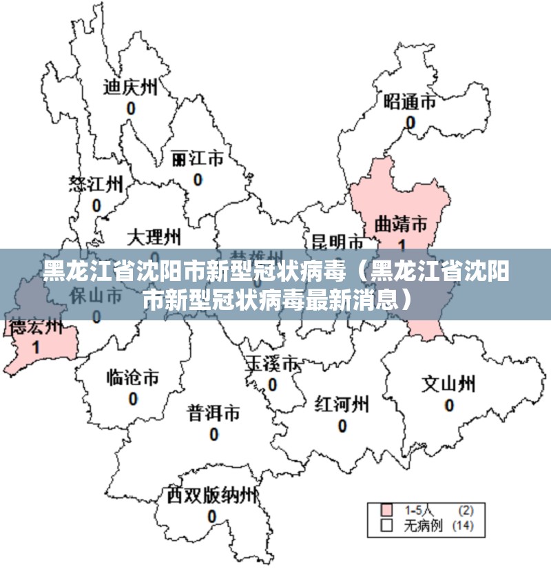 黑龙江省沈阳市新型冠状病毒（黑龙江省沈阳市新型冠状病毒最新消息）