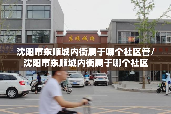 沈阳市东顺城内街属于哪个社区管/沈阳市东顺城内街属于哪个社区