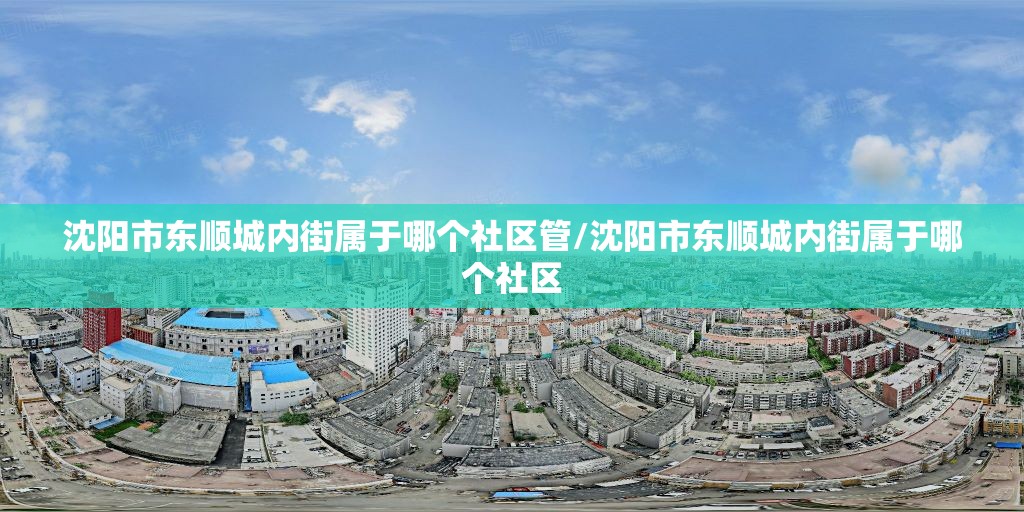 沈阳市东顺城内街属于哪个社区管/沈阳市东顺城内街属于哪个社区