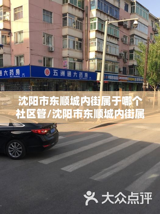 沈阳市东顺城内街属于哪个社区管/沈阳市东顺城内街属于哪个社区