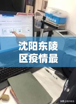 沈阳东陵区疫情最新消息，防控措施升级，市民生活有序应对