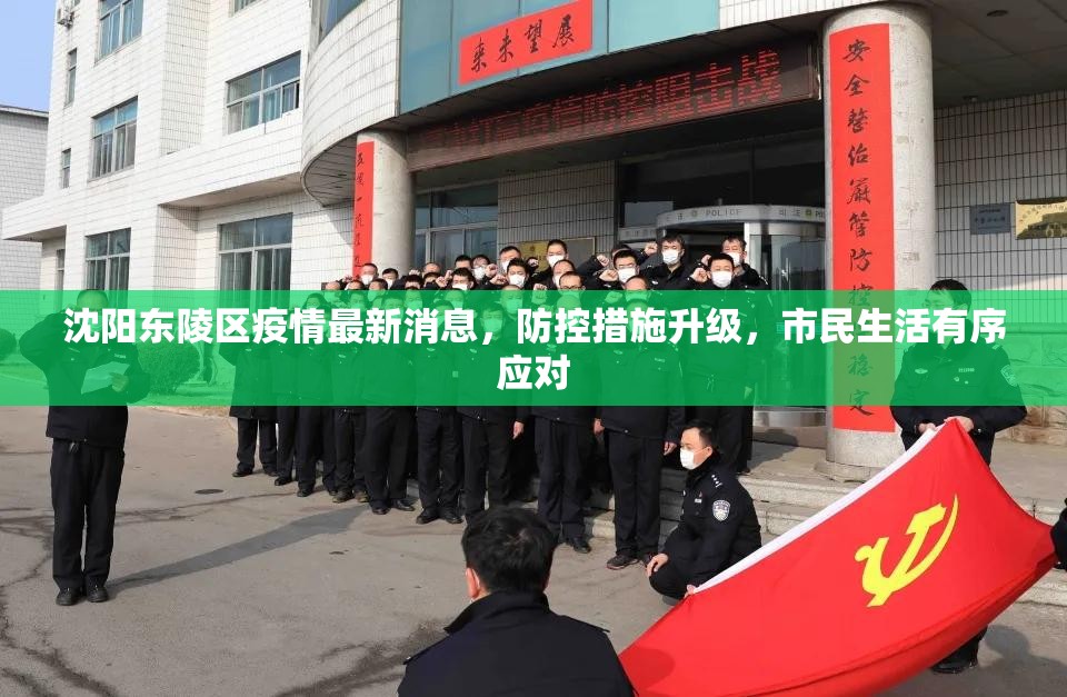 沈阳东陵区疫情最新消息，防控措施升级，市民生活有序应对