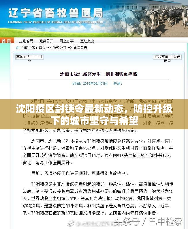 沈阳疫区封锁令最新动态，防控升级下的城市坚守与希望